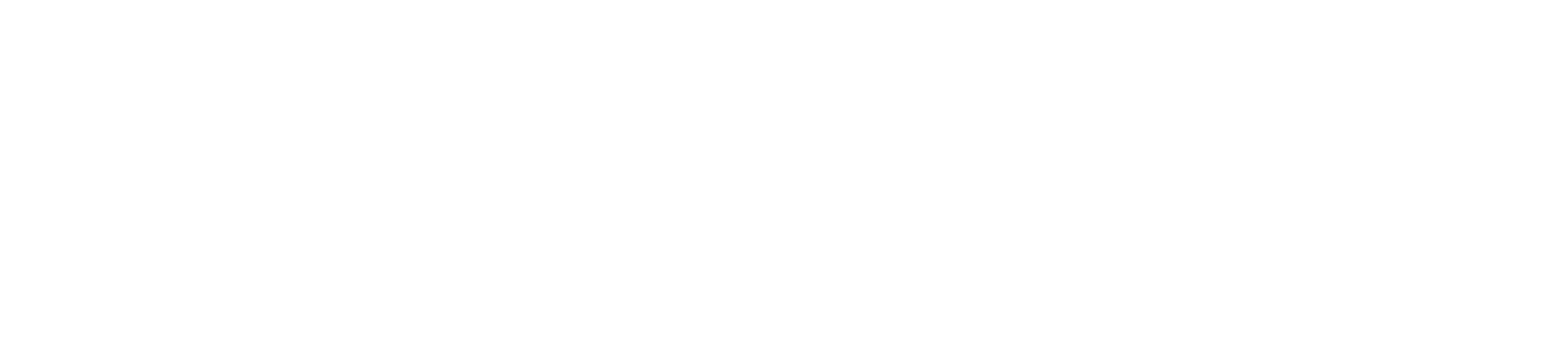 Ray's Electrical Logo